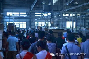 第5季“走進工廠 品質之旅”團購活動圓滿落幕